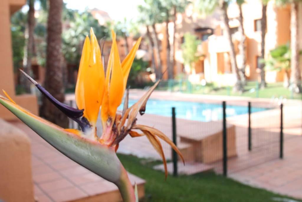 Casa Hermana Los Alcazares Ngoại thất bức ảnh